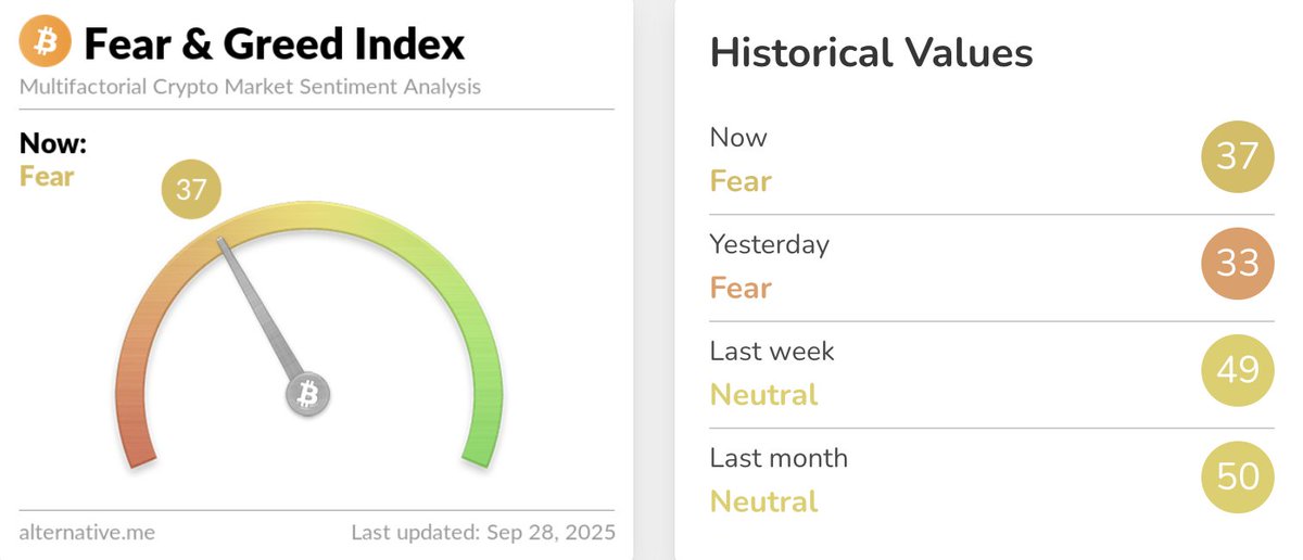 CryptoGoos tweet media