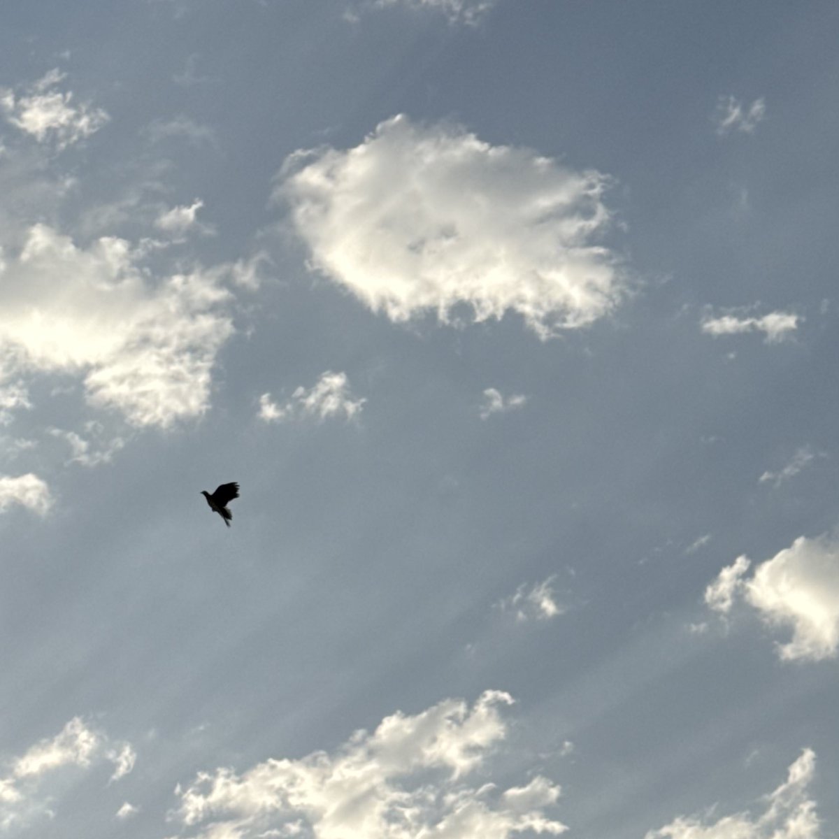 perfect morning 🩵