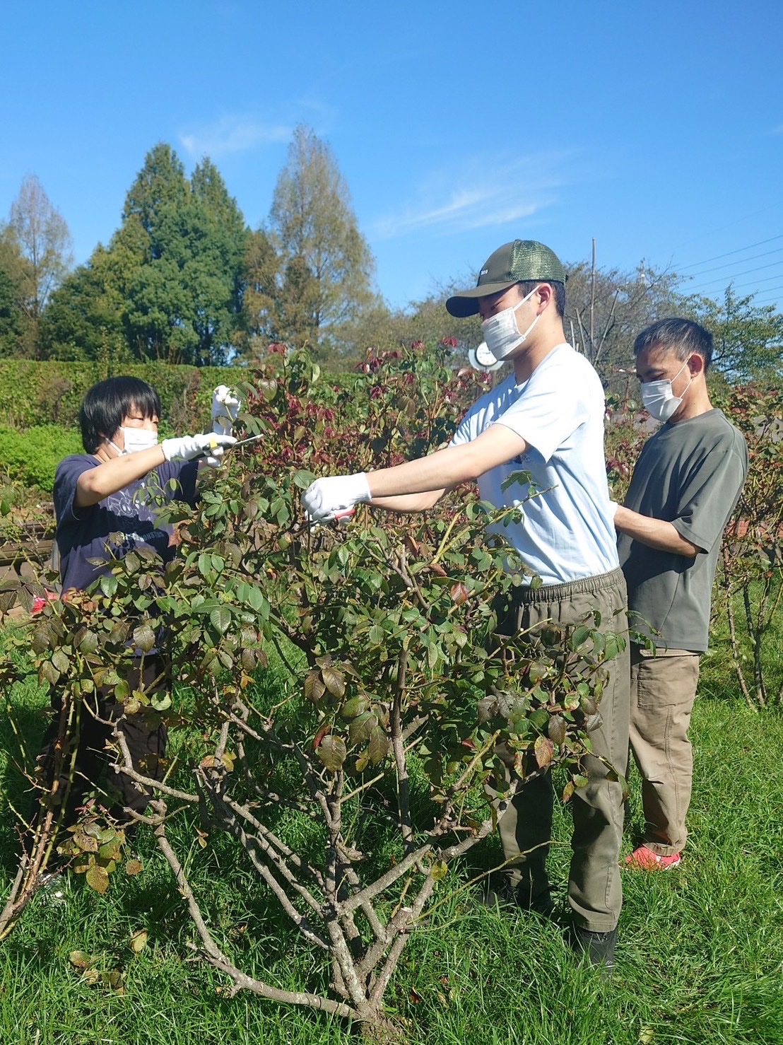 さいたま（感謝） 今日は、陽気が良かったので、バイクでジムに行ってまいりました