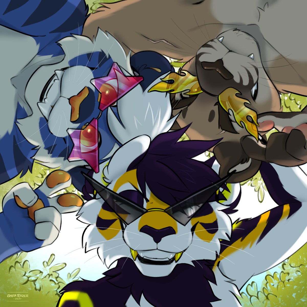 ShiraTekzer's tweet image. amigossssss