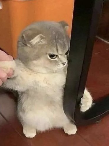 백구 (@baekgu1_) on Twitter photo 