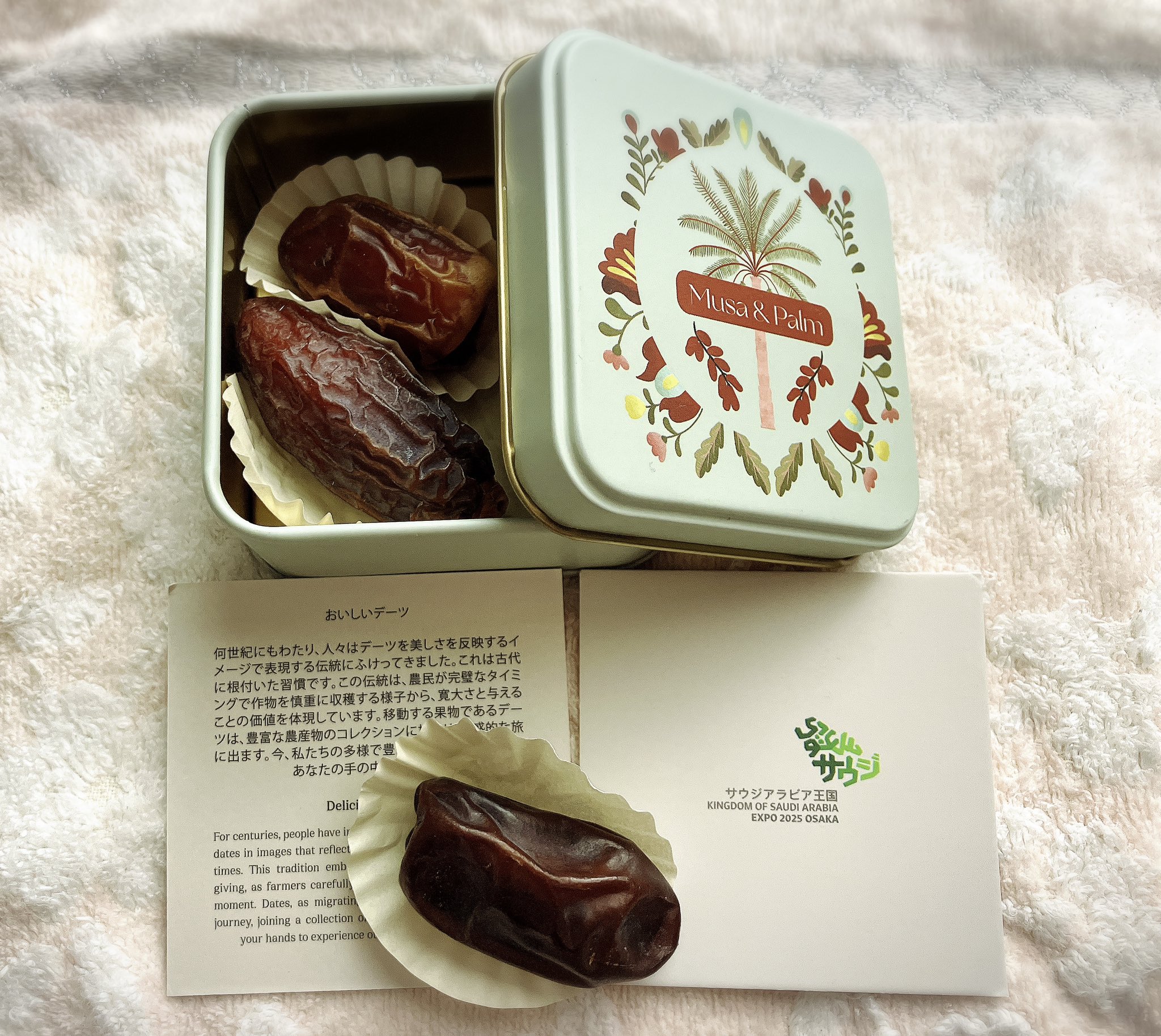 大阪 関西 万博 サウジアラビア サウジ パーカー パビリオン 限定 新品