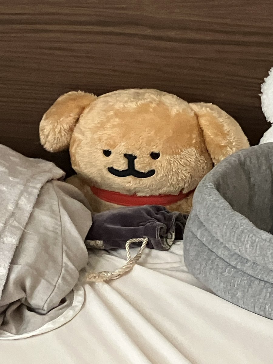 ぽぬちゃん (@shimaponu) / Posts / X