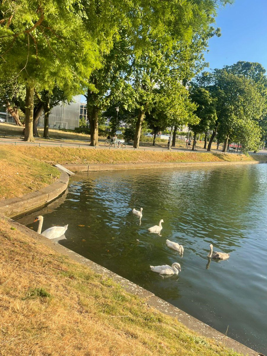 Strolling through the Park „Hofgarten“ in Düsseldorf, 🇩🇪