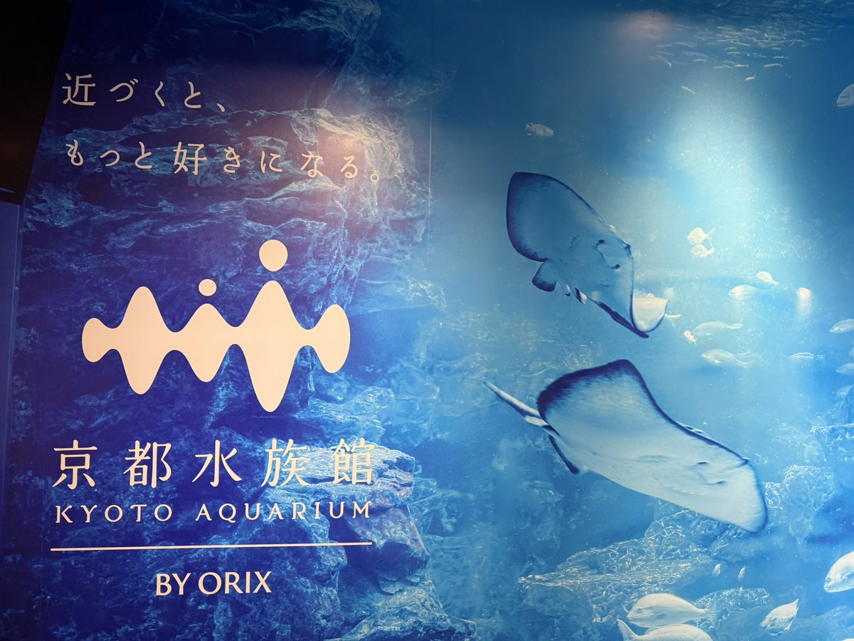 久しぶりの水族館〜🐟