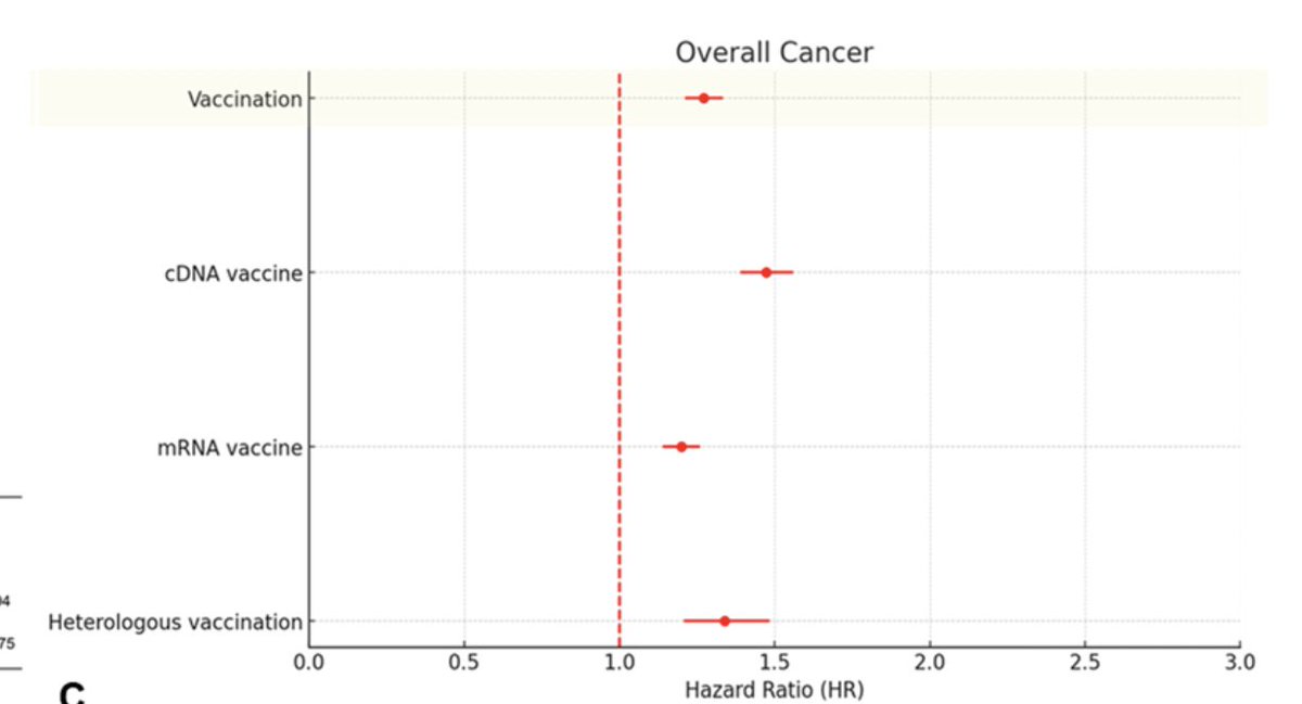 deepakdeepak's tweet image. rdcu.be/eIvLc

Bad news keeps pouring in. A South Korean retrospective population-based study reports a significant increase in 6 types of cancers post-Covid vaccination: prostate, thyroid, gastric, lung, breast, and colon. 

Worryingly, the DNA covid vaccines were…