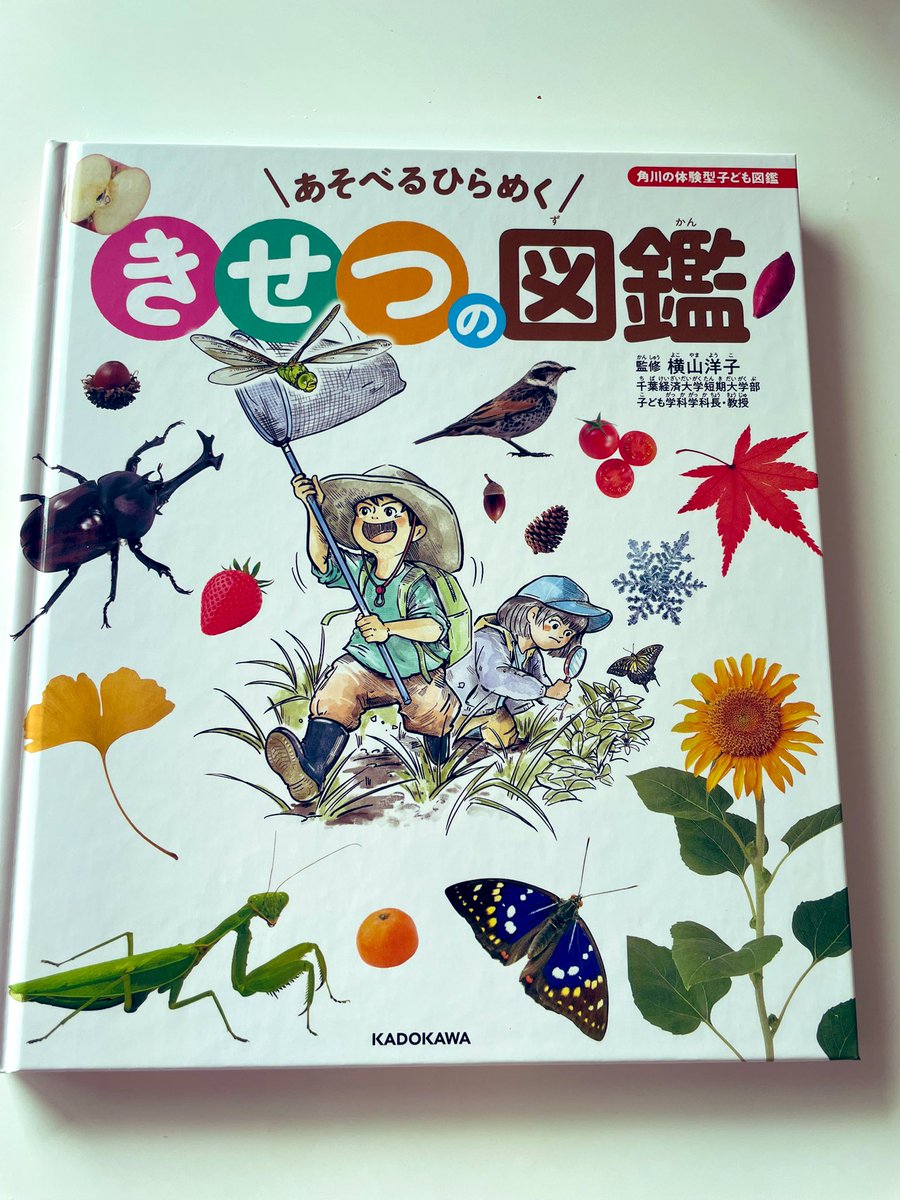 みつるまま様専用 星みつる式 ソーシャルスキル DVD 12巻セット(カード