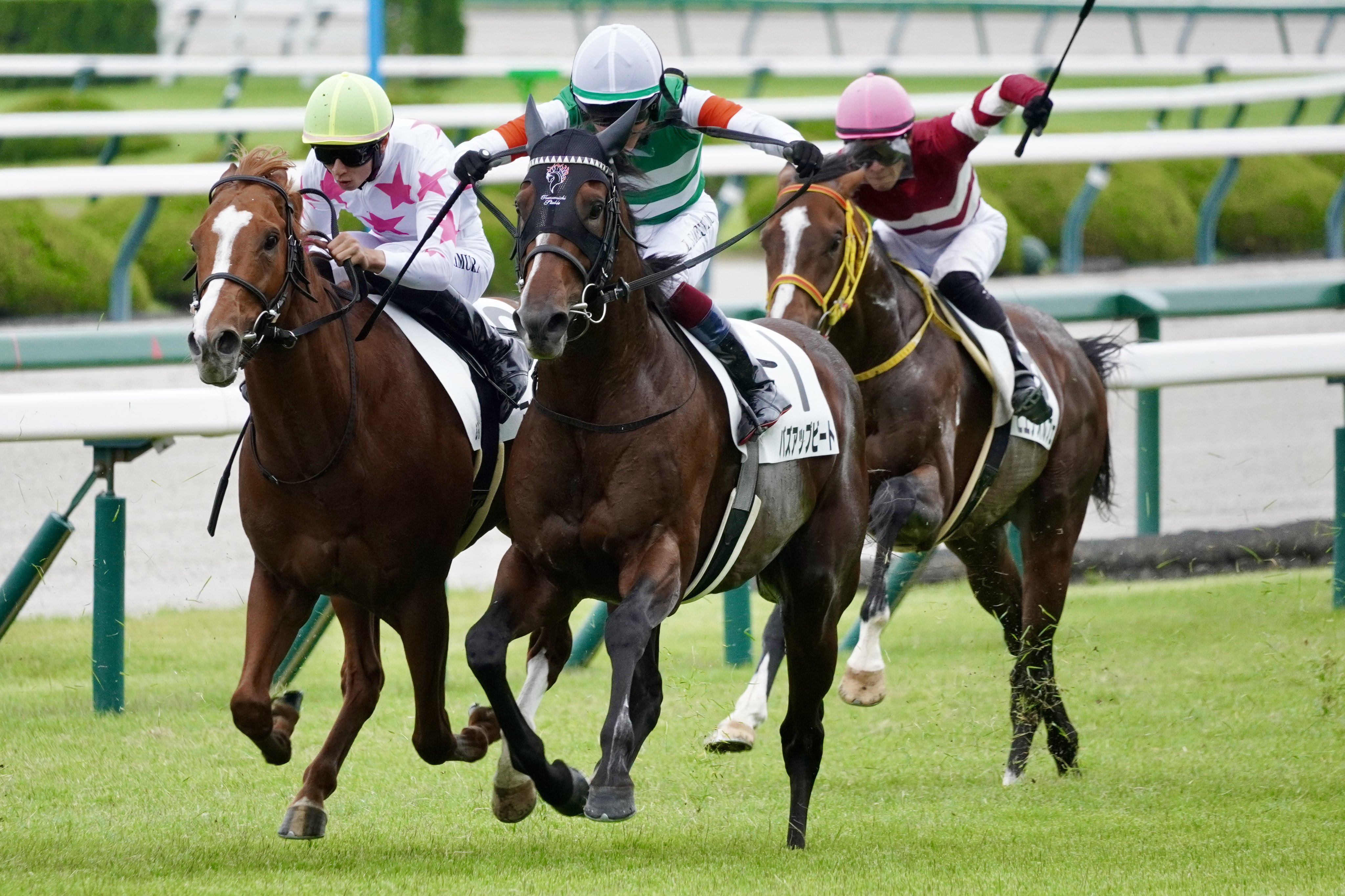 サウンドビバーチェ　実使用ゼッケン 　ターコイズS（G3）浜中俊騎乗 サウンドビバーチェ 実使用ゼッケン ターコイズS（G3）浜中俊騎乗 2025