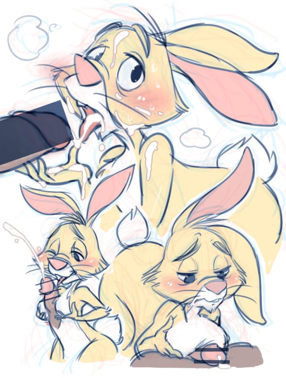 𝗥𝗮𝗯𝗯𝗶𝘁 tweet media