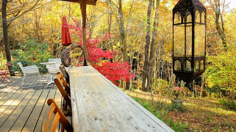しばらくお休みだったけど来月からまたオープンするちょい近のパン屋さん🥐

山の中にひっそりとあるお店らしいから最近まで知らなかった笑
美味しそう🤤