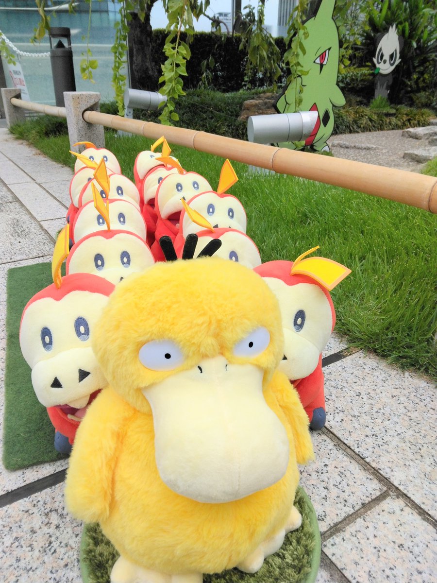 ホゲータ：プロフご確認下さい Pokemon ホゲータ(たいあたり)〔-〕【炎/たね】 〈*型番不問