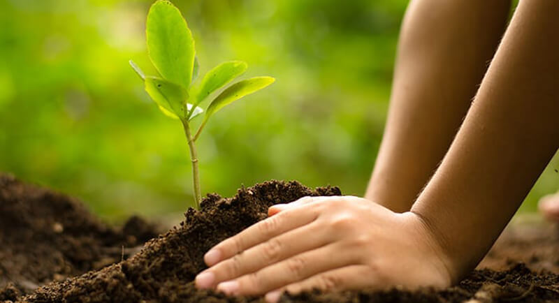 📰 عندما يسلّط الإعلام الضوء على التلوث والمخاطر البيئية، فهو يحمي صحتنا قبل أي شيء آخر.
#الإعلام_البيئي_ضرورة_لاترف #السعودية #يحدث_الآن #مبادرة_السعودية_الخضراء #مبادرة_الشرق_الاوسط_الاخضر #البيئة #بيئتنا_مسئوليتنا #المعرض_الزراعي #ازرعوا_واستمتعوا #التطوع_البيئي