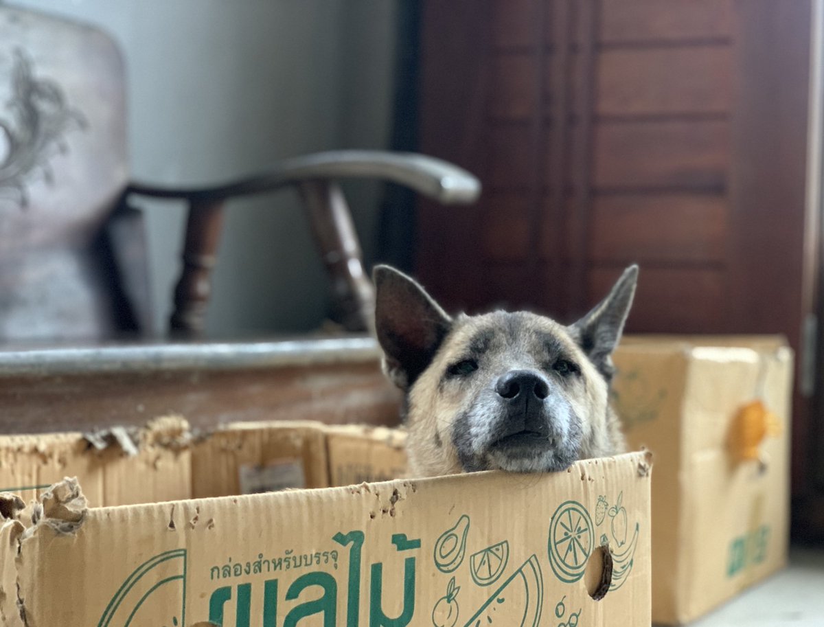 praygrown tweet media