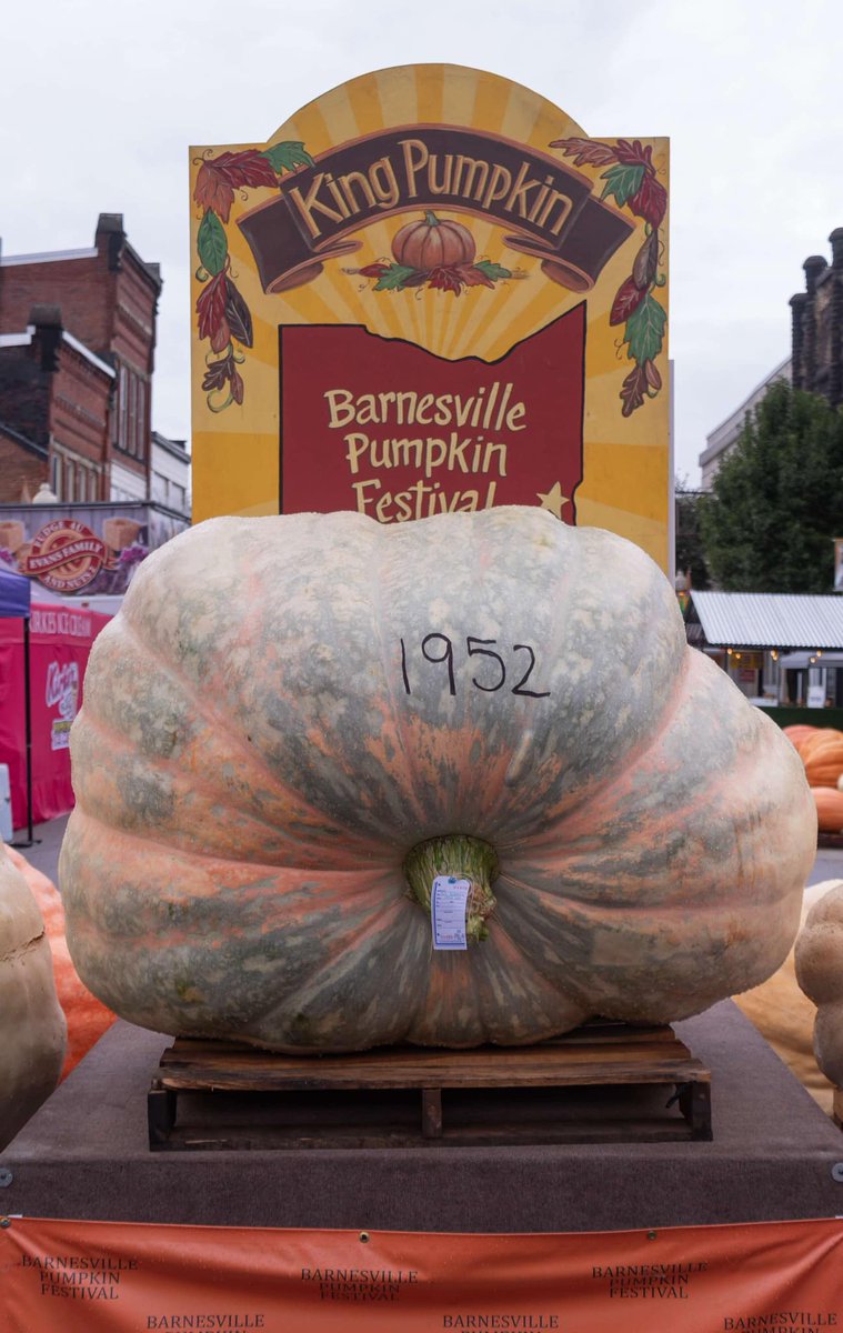 Barnesville Pumpkin Festival (@BarnPumpkinFest) / Posts / X