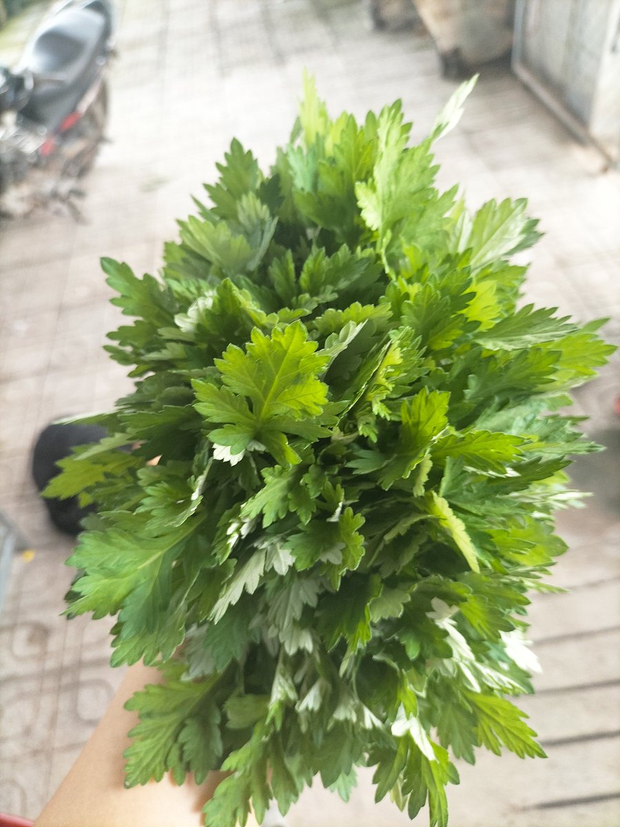 Vô tình có loại thuốc quý