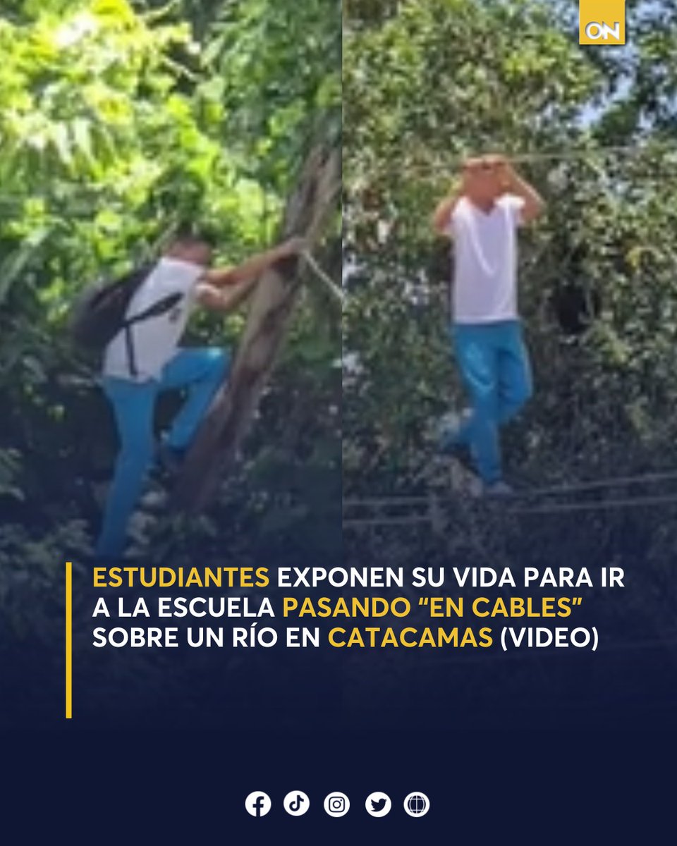 11_Noticias's tweet image. 😰"La mayoría de los muchachos pasan por los cables agarrados como los monos", explicó un poblador la situación en comunidad Tablón Alto. 

Más detalles aquí👉 oncenoticias.hn/nacionales/vid…

#Cables #Olancho #VideoViral