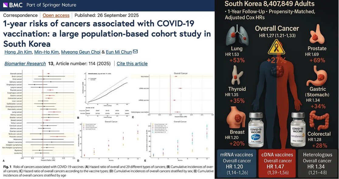 RealSamBrokken's tweet image. Observational study, 8.4 million adults finds higher risks of overall, lung, prostate, thyroid, gastric, colorectal, and breast cancers — across both COVID mRNA/ viral-vector platforms. CI &amp;amp; HR significant for gastric, leukemia and pancreatic cancer. (More in comments).