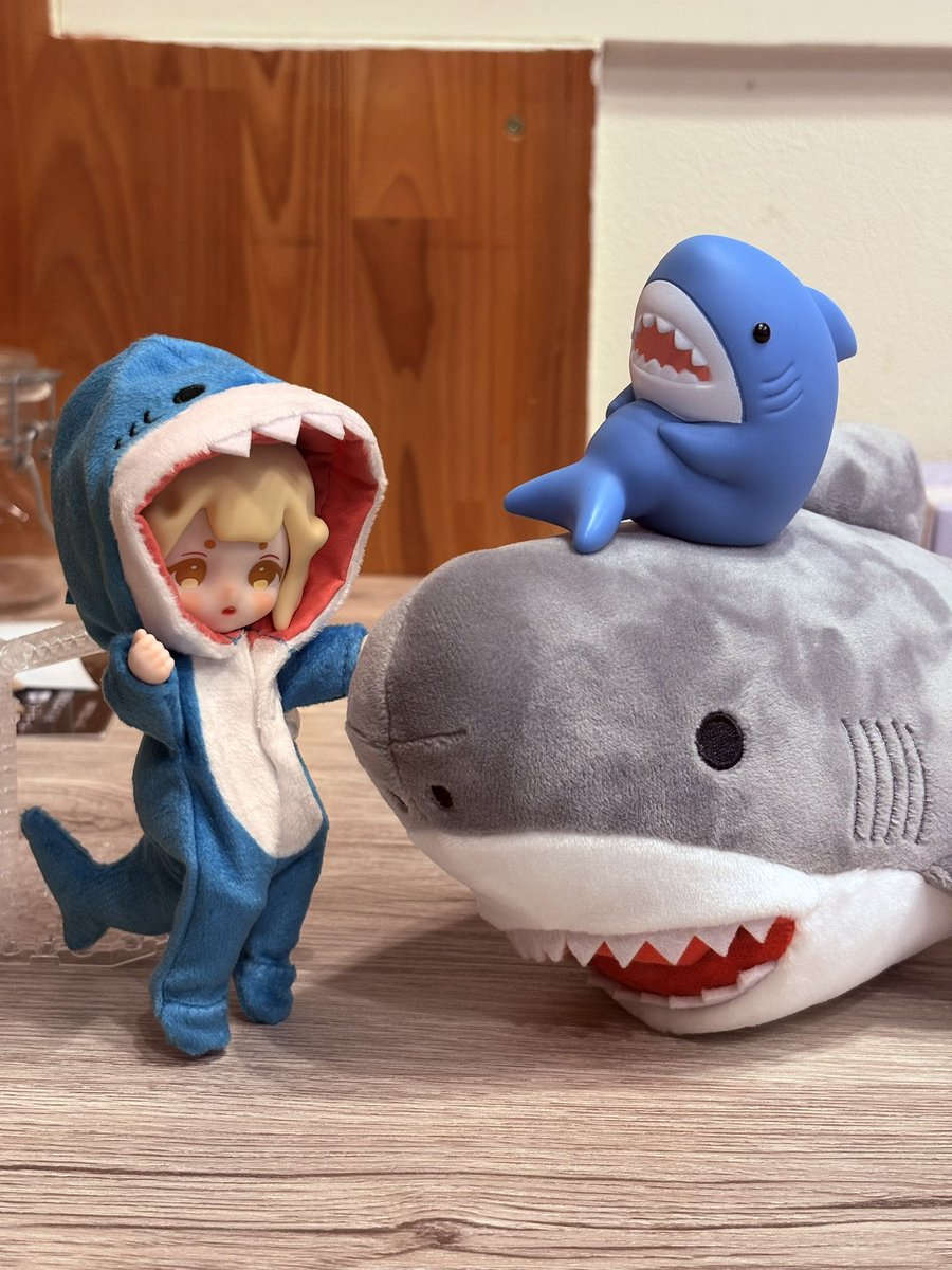 toufu0213's tweet photo. サメは良い🦈
#DollCafe #TwinkleStars https://t.co/wXx64uWh3i