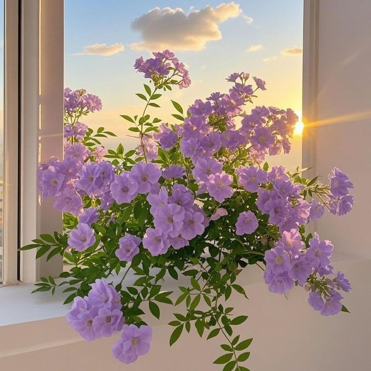 Fantastic_Flowr's tweet image. #NewProfilePic