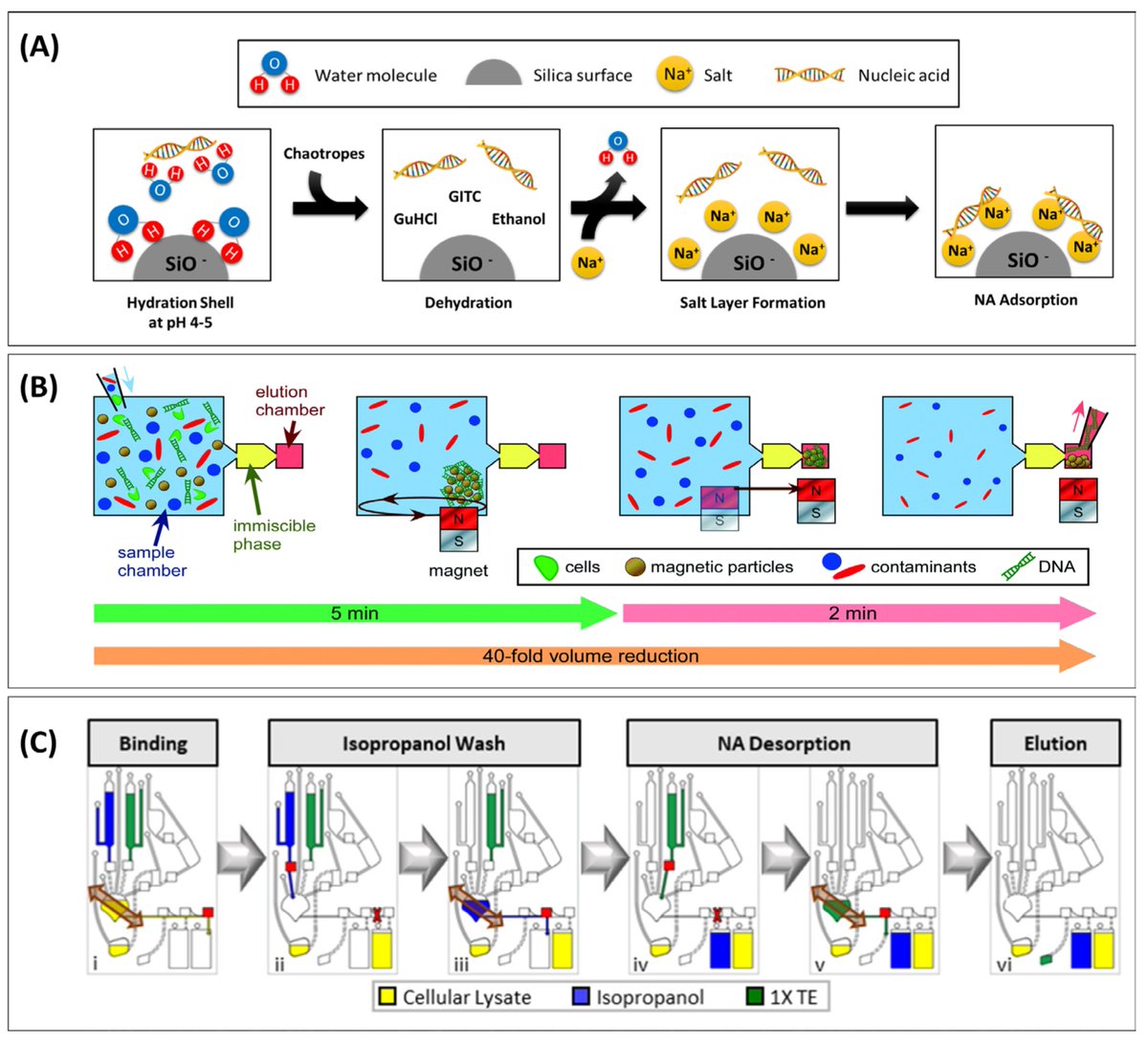 Biosensors_MDPI's tweet image. 📣Call for Reading:

#Review
Chemical Trends in Sample Preparation for Nucleic Acid Amplification Testing (NAAT): A Review

by Soomin Lee, et al.

mdpi.com/2079-6374/13/1…

#NucleicAcid #amplification #PONT #SamplePreparation
#biosensors #mdpi #openaccess