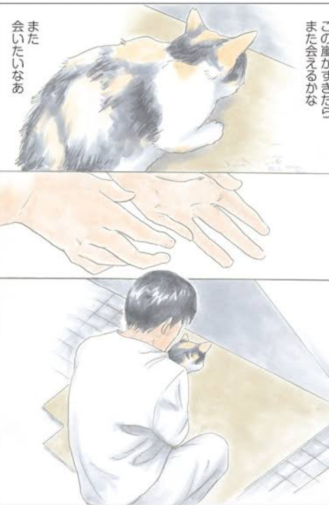 きじとら@nyan (@kigitorakun) / X