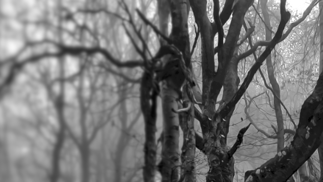 حرف 𝕏 ومعنى tweet media