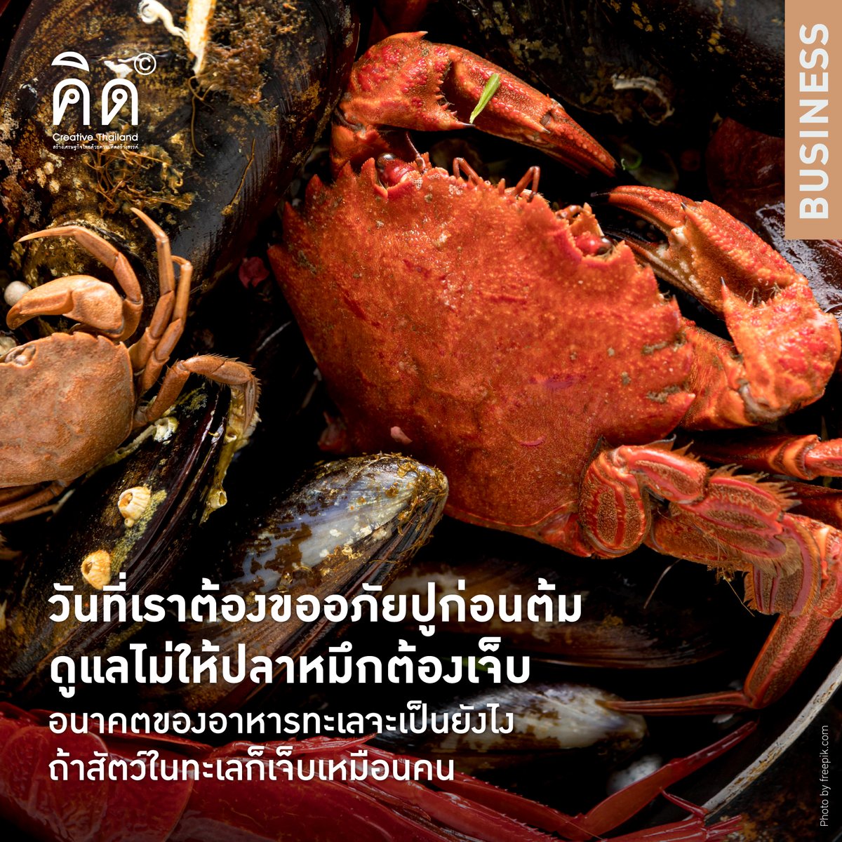 คิด (Creative Thailand) tweet media