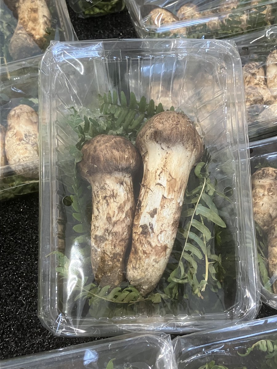 少量ですが・・・ 松茸入荷しました🍄 発送・取り置きは出来兼ねます🙇