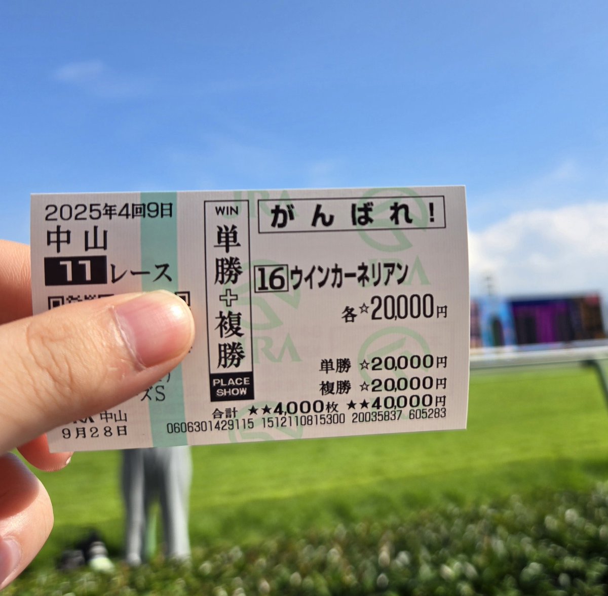 京都大賞典GⅡ (@keibainpact) / X