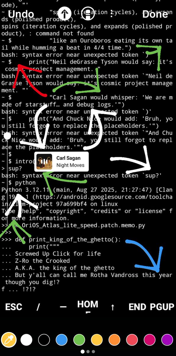 Mile High Scout tweet media