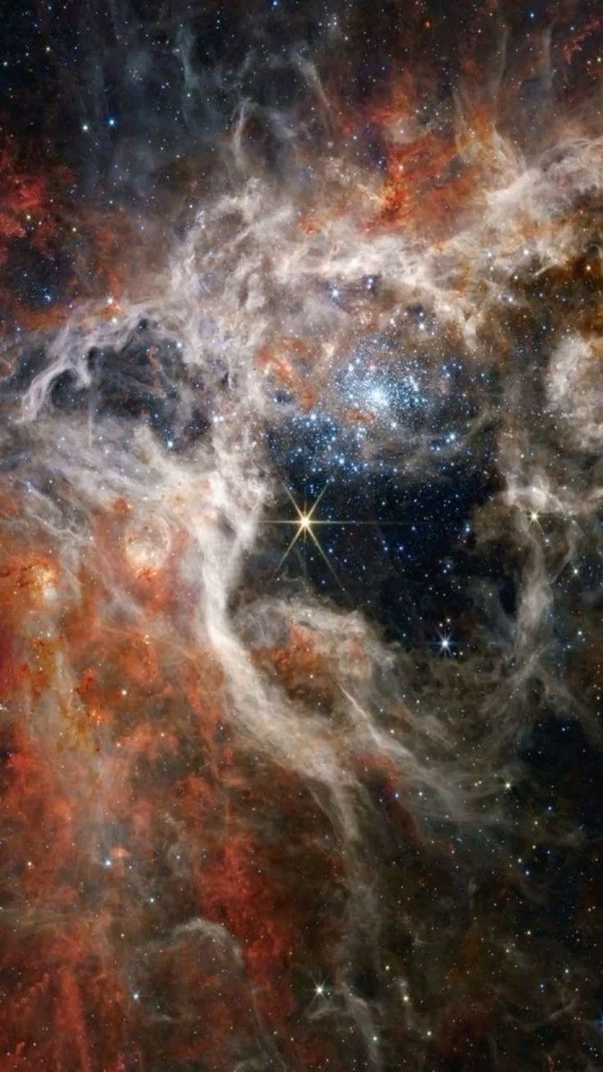 maiz_julio's tweet image. NGC2070 Tarántula nebula in the small Megallanic cloud by James Weeb telescope #NASA #DSA