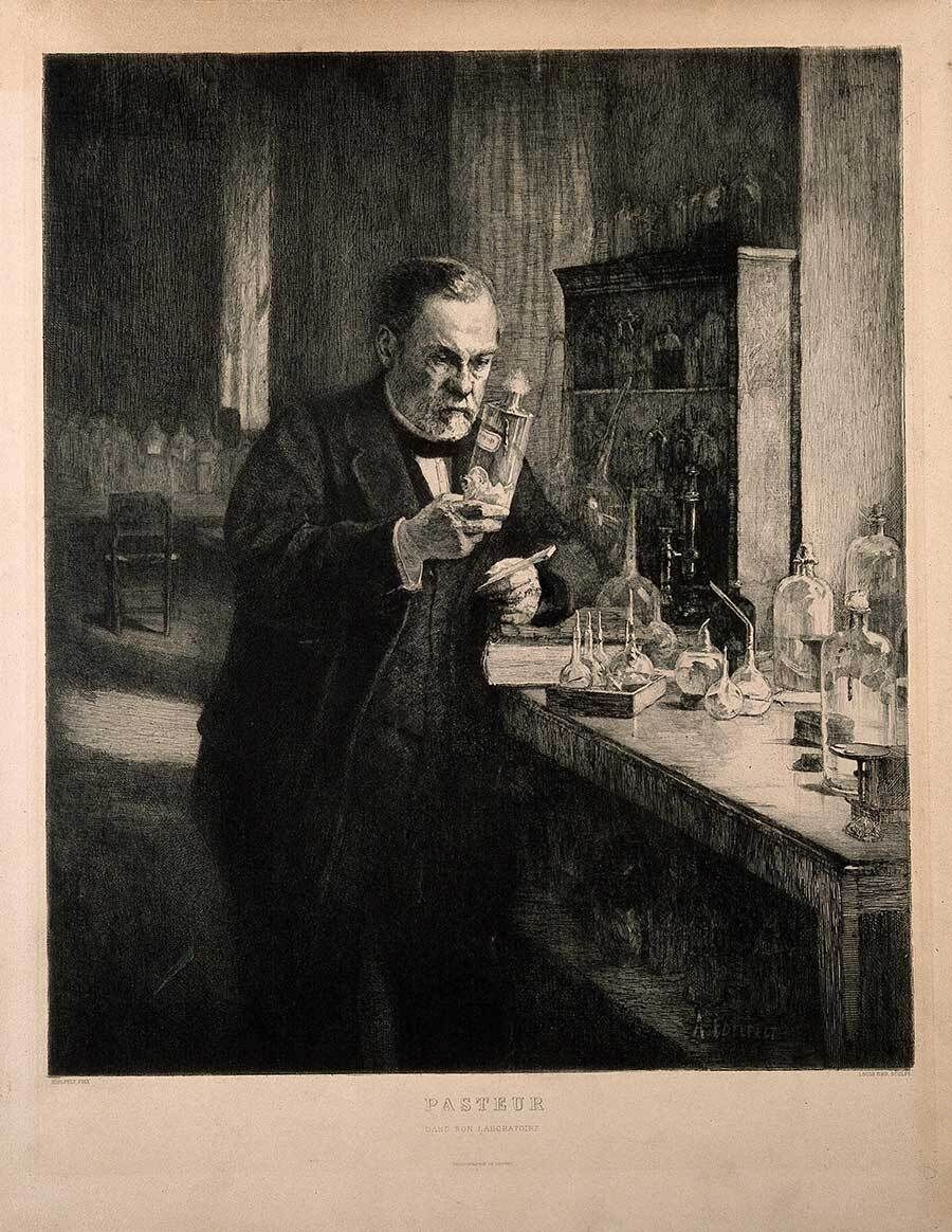🧬 On #WorldRabiesDay, let’s remember rabies was humanity's nightmare for millennia. A disease so terrifying it inspired vampire legends. Then Louis Pasteur made a wager that changed everything. This is the story of how one scientist turned monster into vaccine-preventable