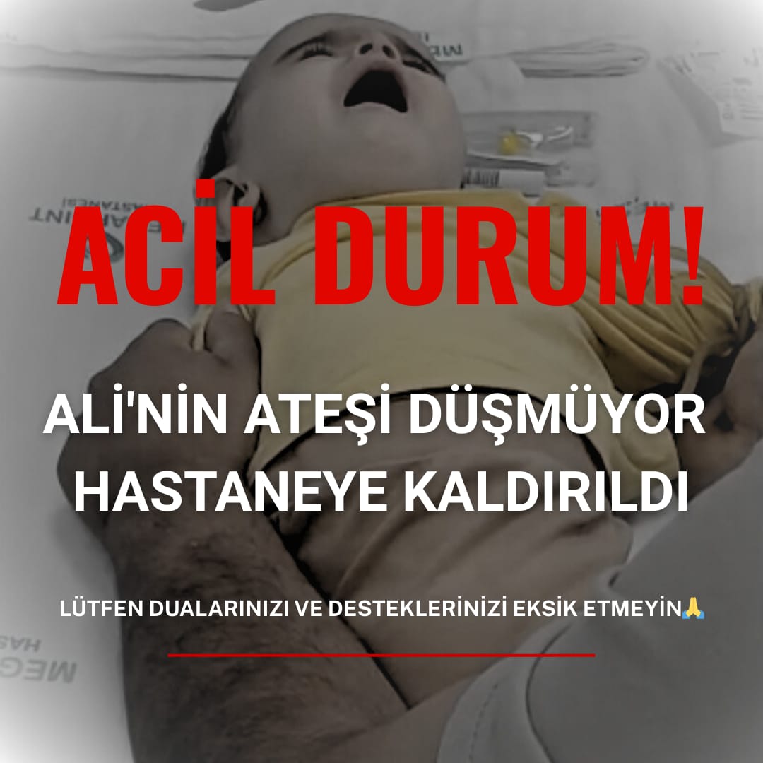 Minik Alimiz yüksek ve düşmeyen ateş nedeniyle hastaneye kaldırıldı. Bu zor günleri dayanışma ile aşacağımıza inanıyoruz. Dualarınızı ve desteğinizi esirgemeyin. 🙏 Birlikte daha güçlü olalım, minik yüreğe şifa dileyelim! 💪
#güllü Araba Kahve Rusya Kedi Köpek #vefat Ahmet Hakan