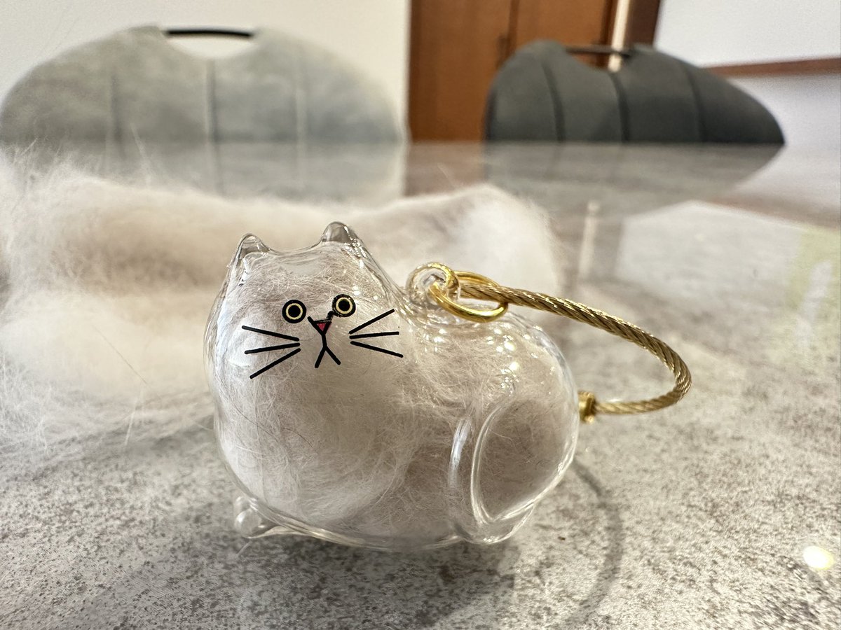 boku_jiruemon's tweet photo. とれたてほやほやの毛が手に入ったので、やっとメアちゃんのご家族からお譲りいただいたけだまだまにジル毛をイン🙌
もうちょっとハチワレ柄にしたいところ https://t.co/unLFM6YjhC