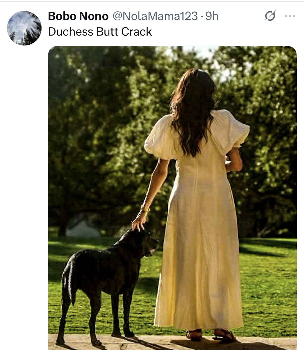 Nancy Sidley tweet media