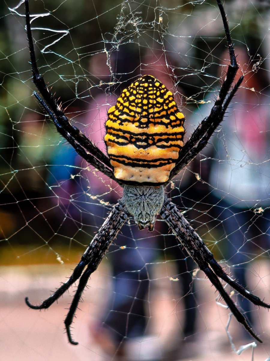 Akash Gupta 🇮🇳 tweet media