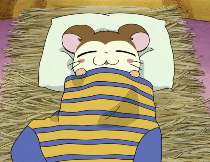 シンプルに起きられず死亡
自認キャラこれでいいよもう