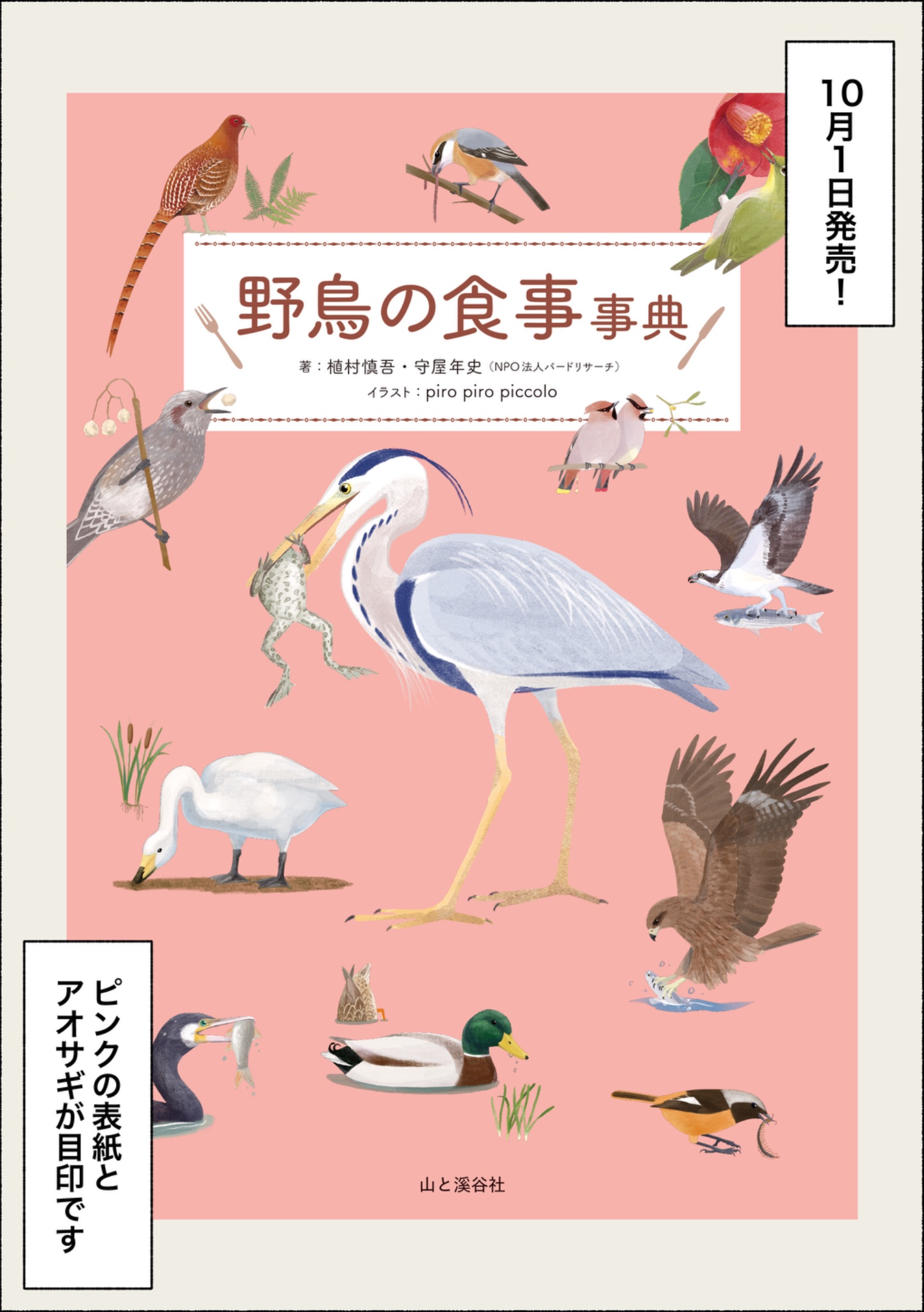 鳥好きっ！ Amazon.co.jp: ゼクス Z/X E26-007 天真爛漫な幼麗鳥 カナ (SR