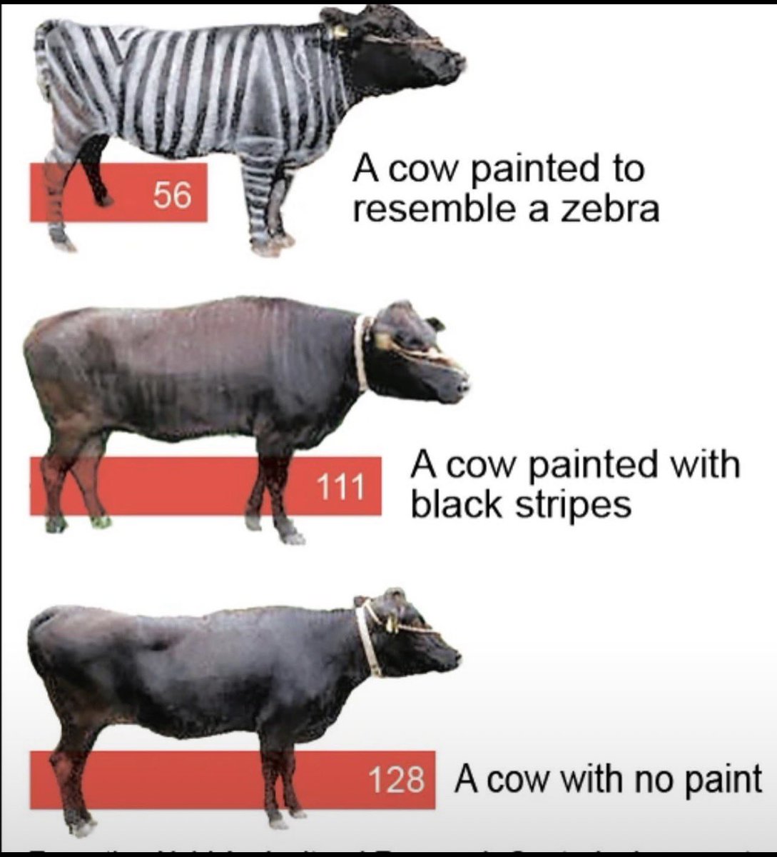 JAV8869's tweet image. A Japanese research team’s experiment involving disguising a cow as a zebra to fend off bloodthirsty insects received the 2025 Ig Nobel Prize’s biology category on Sept. 18, making this the 19th consecutive year a team from Japan has won.

Researcher Tomoki Kojima and team found…