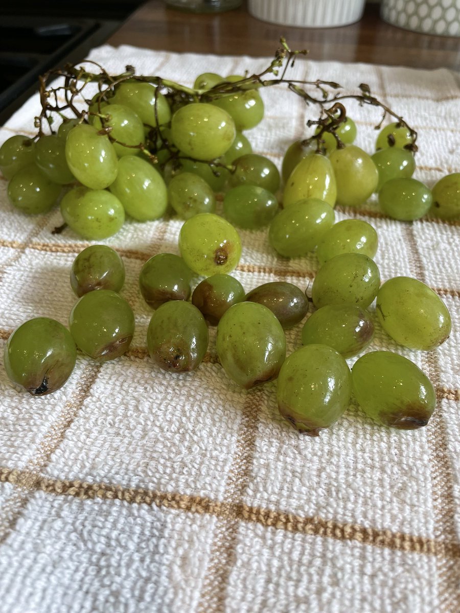 Cindy CB tweet media