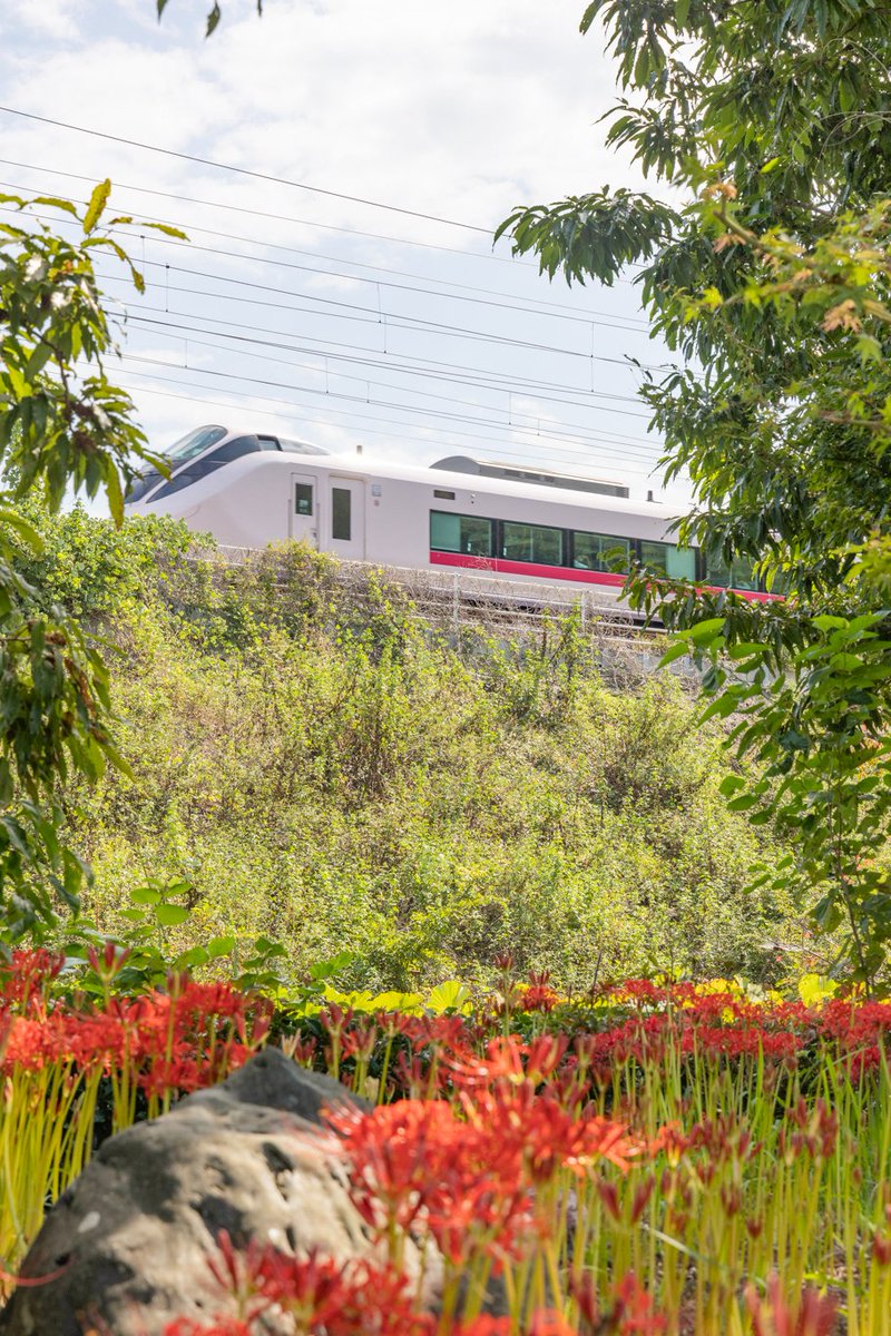 ooseno7100's tweet image. E653系　たぶん時間的に特急ひたち
茨城県日立市　赤羽緑地にて