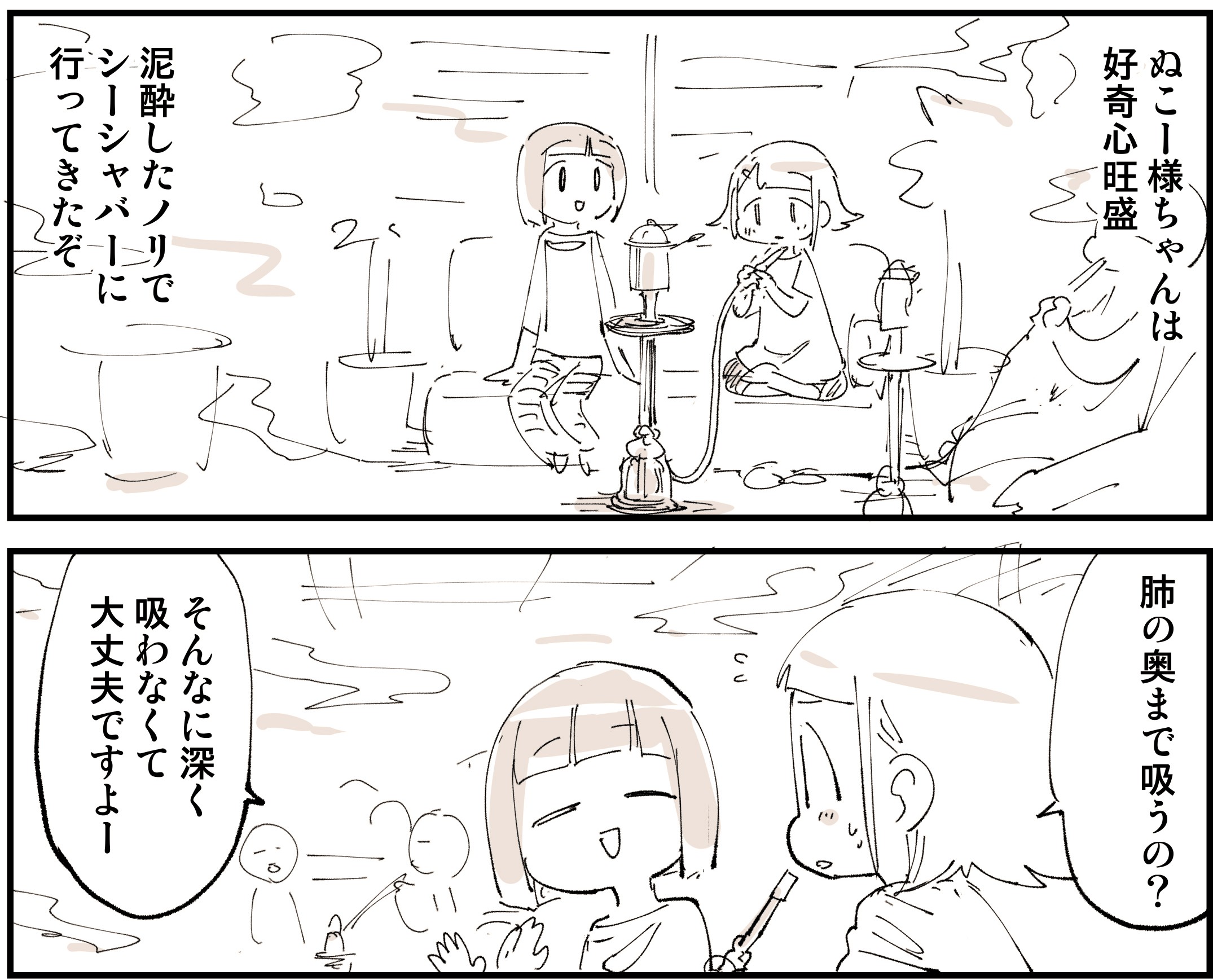 ★ ぬこ様 ★ ぬこー様ちゃん@ロードバイク狂 (@nukosama) / X