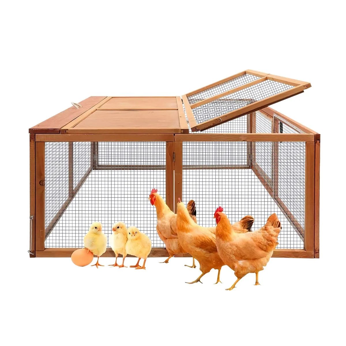 CrazySalesAus's tweet image. Foldable Chicken Cage
bit.ly/46Q86Tw
#chickencage #chickencoop #rabbithutch #easytransportation #farm