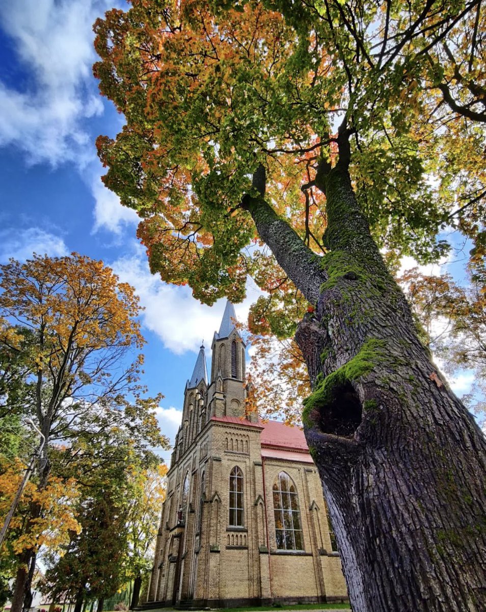 Błogosławionej niedzieli Polsko 🇵🇱

Dzień dobry 🇵🇱