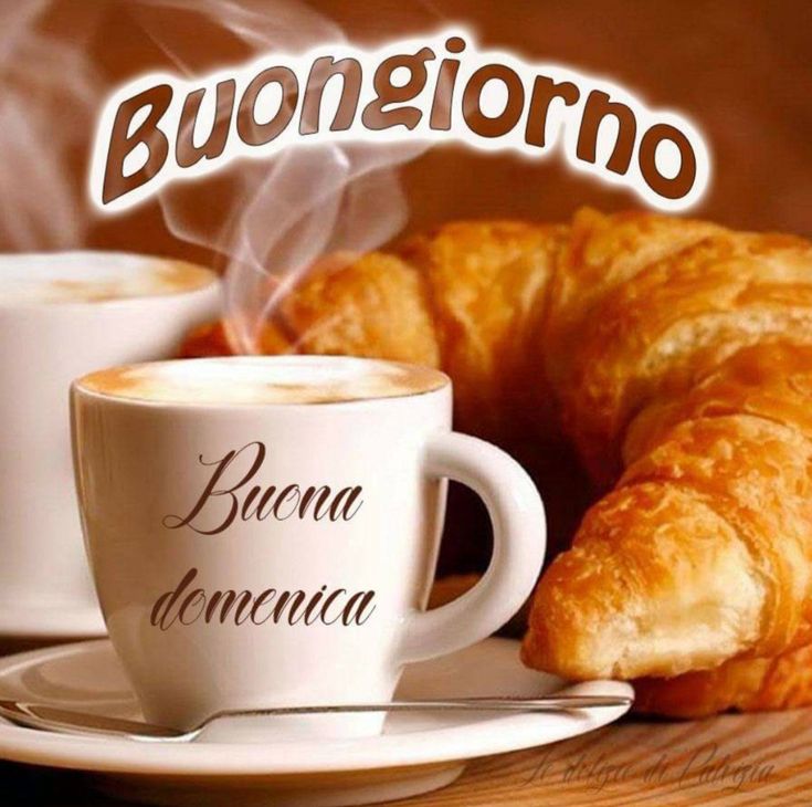 acquacamera's tweet photo. Buongiorno e buona domenica https://t.co/s0RJCDNXLK