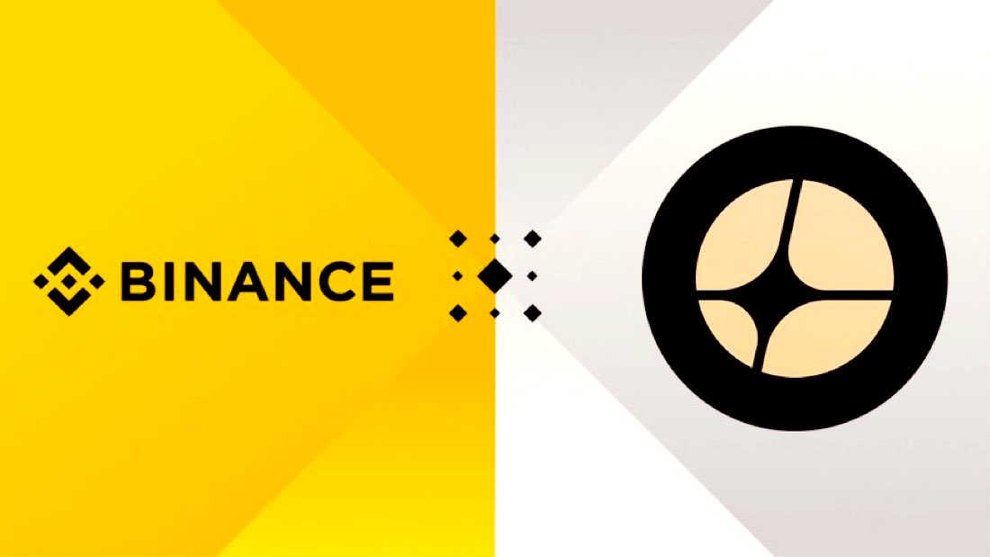 WHALE 🐳 EVERYTHING tweet media