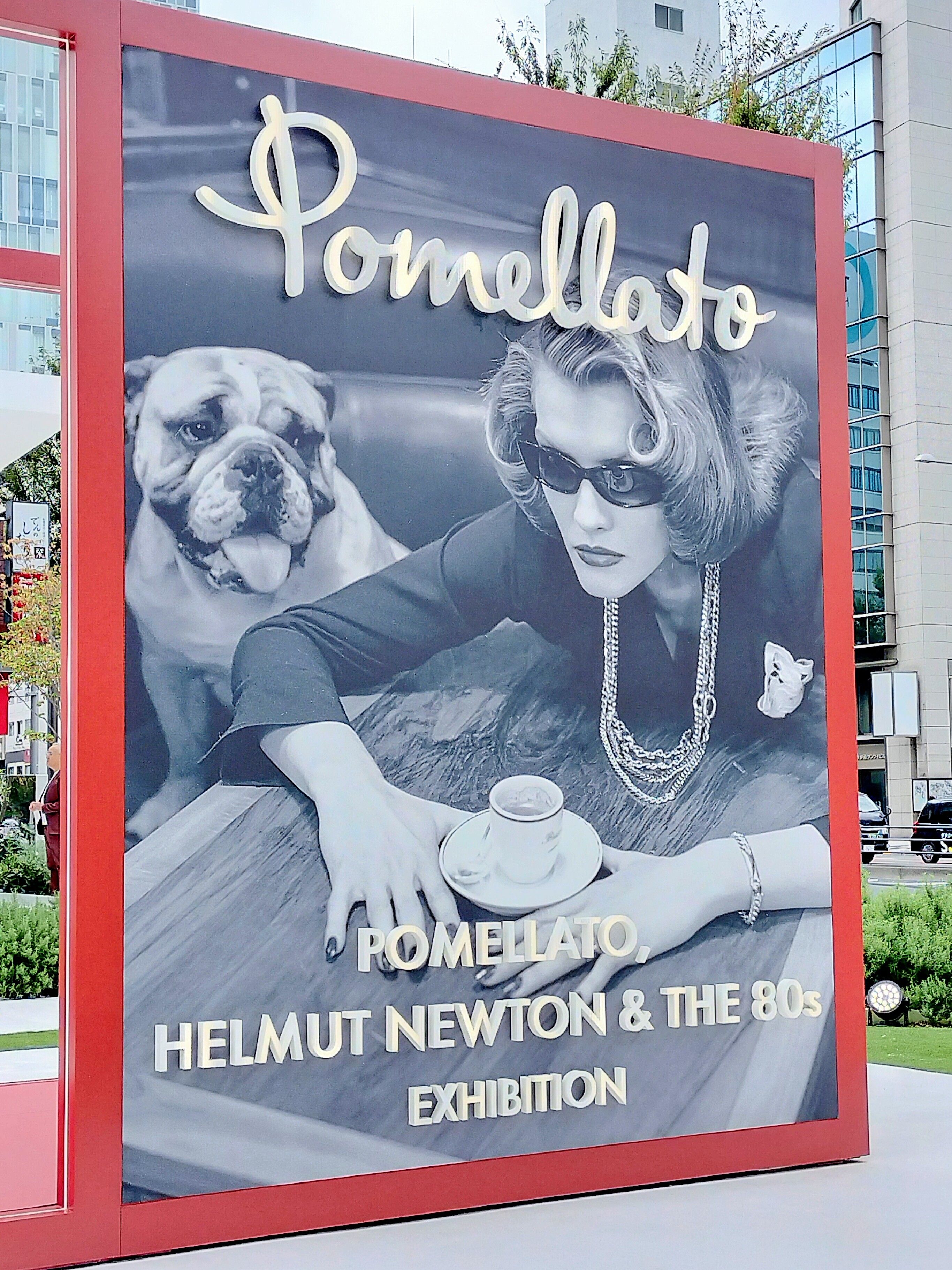 はるよし🎾 on X: 