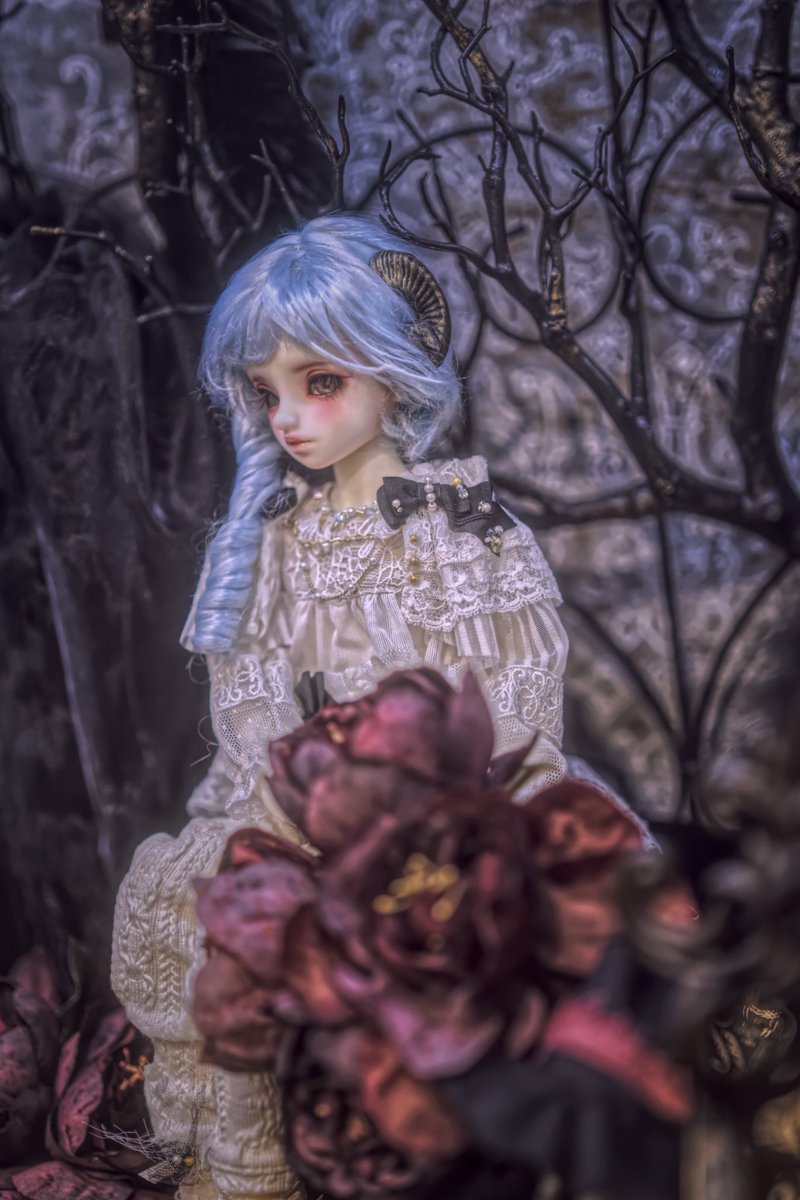 risetu_doll_tra's tweet photo. おそようございます。
窓のハロウィンモチーフのブースではじめて撮影させていただきました。
まだ経験不足は否めないですが、#RelicMOF 様の衣装揃えて撮影できたので満足気味です。

#天使の窓Halloween https://t.co/l81ekA6gAL