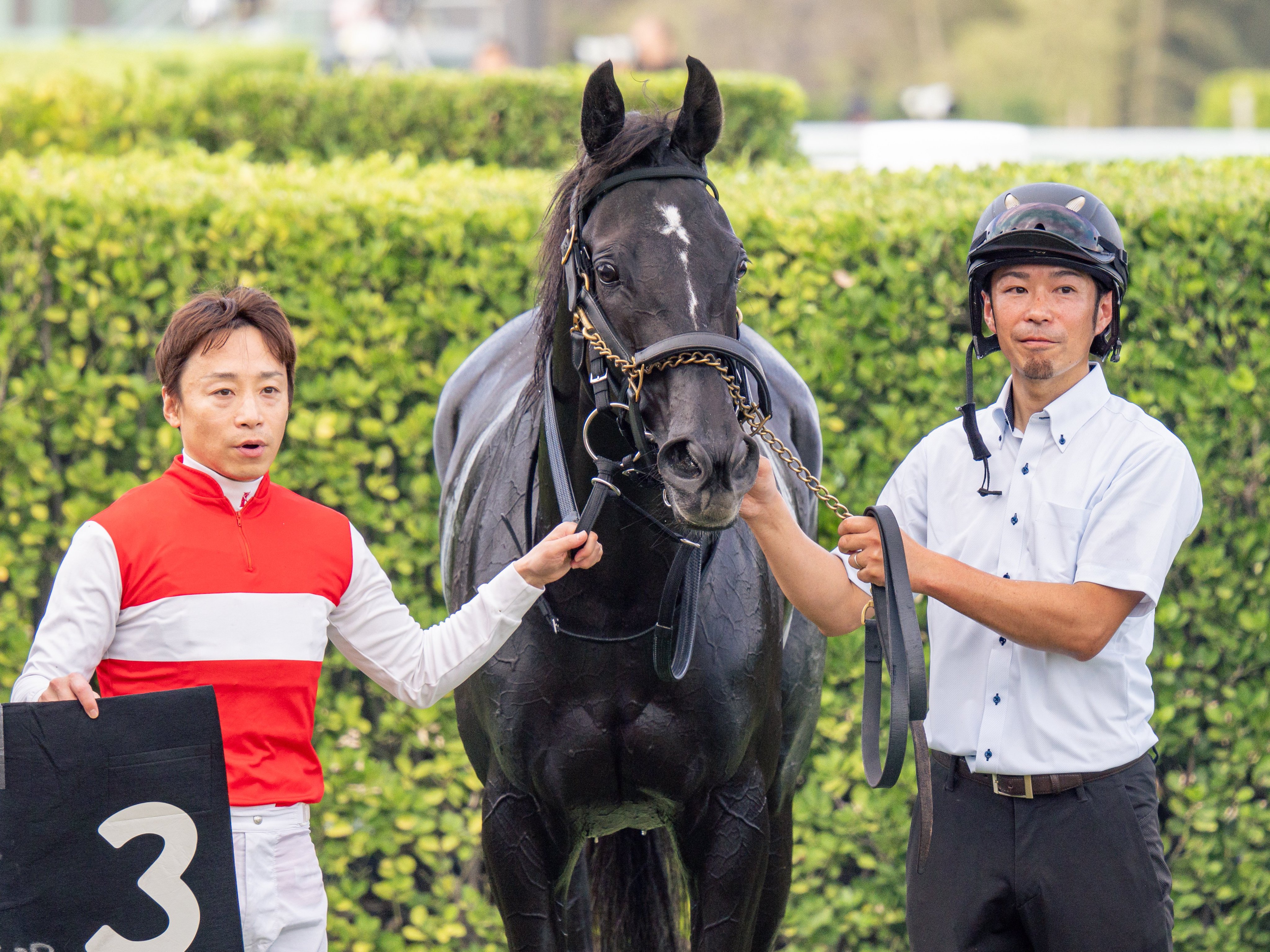根岸競馬場1等馬見所こけら落とし開催初日馬券 𝙈𝙤𝙩𝙤𝙩𝙚𝙩𝙨𝙪🐎✨…😸💕 on X: 