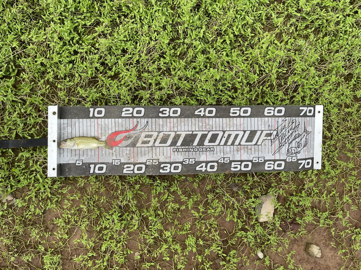 私が釣ったバスが見えてるなら、あなたは優しい人です。
ずっとそのままのあなたでいてください。

え？バス？どこ？いないよ？
って思った方へ……

よく見てよねっ💢
ちゃんと釣ったんだからねっ！